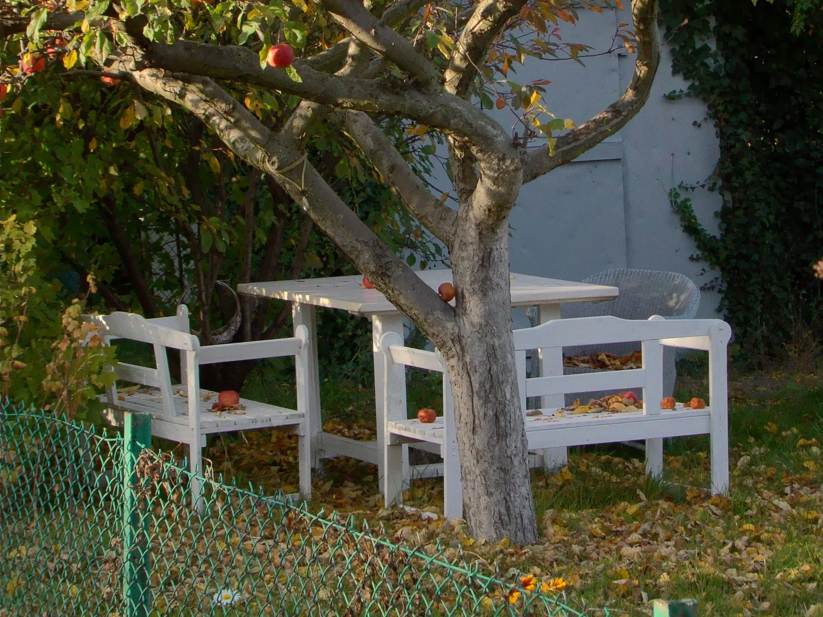 Table et bancs sous un pommier